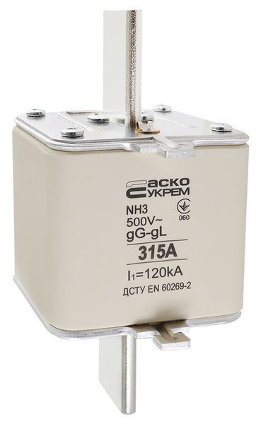 Ножовий запобіжник NH3 315A gG АСКО-УКРЕМ для захисту електромереж A0050010038 фото