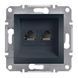 Двухместная компьютерная розетка RJ45 Кат5е UTP Schneider Electric Asfora Антрацит EPH4400171 фото