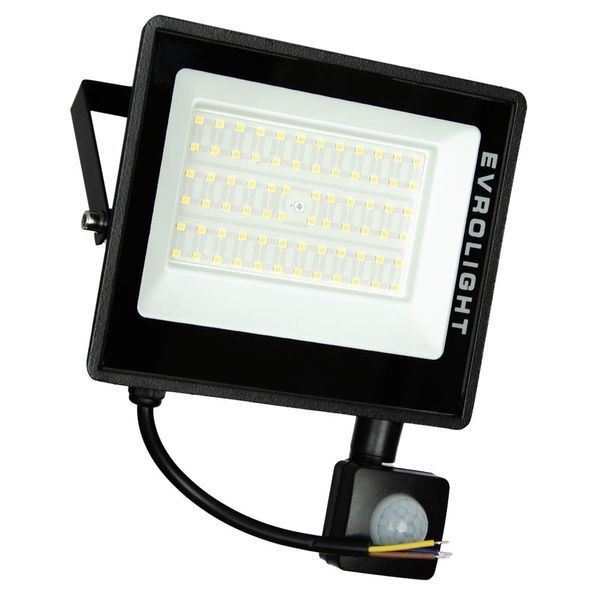 Світлодіодний прожектор з датчиком руху EVROLIGHT FM-01D-50 50W 6400K 57051 фото