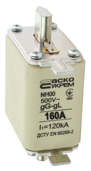 Ножовий запобіжник АСКО-УКРЕМ NH00 160A gG для захисту електричних систем A0050010017 фото