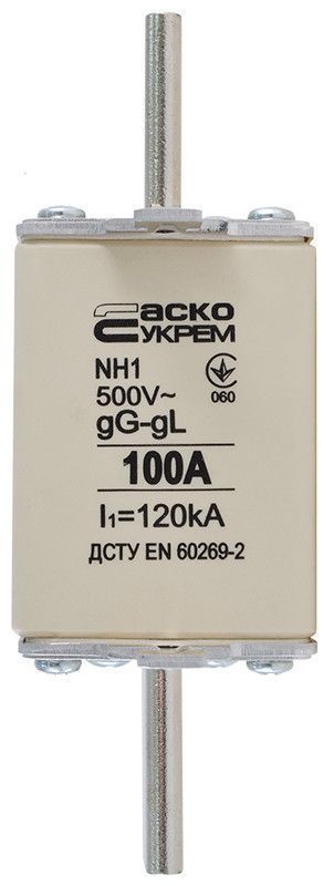 Ножовий запобіжник NH1 100A gG універсальний АСКО-УКРЕМ для DIN-рейки A0050010028 фото