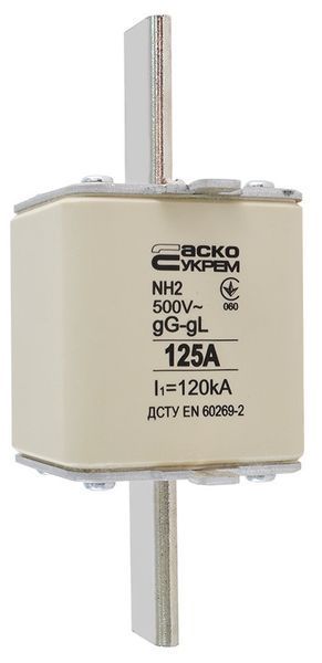 Ножовий запобіжник NH2 125A gG, АСКО-УКРЕМ - для захисту проводки, DIN-рейка A0050010033 фото
