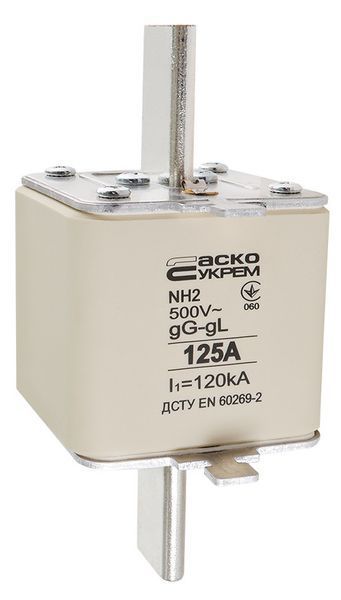 Ножовий запобіжник NH2 125A gG, АСКО-УКРЕМ - для захисту проводки, DIN-рейка A0050010033 фото