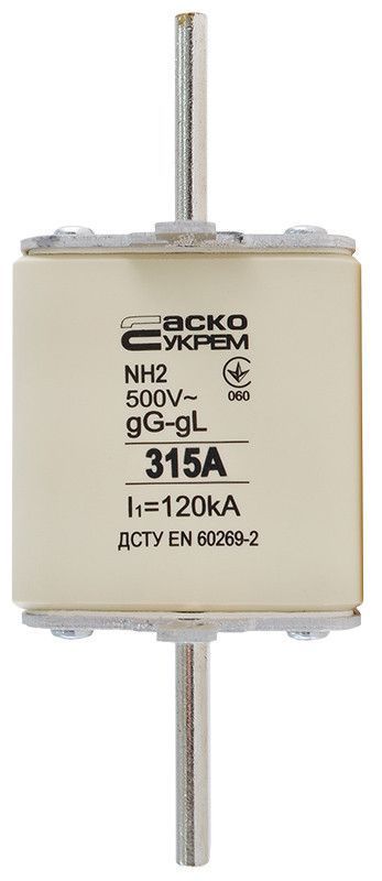 Ножовий запобіжник NH2 315A gG АСКО-УКРЕМ для захисту електричних систем на DIN-рейку A0050010036 фото